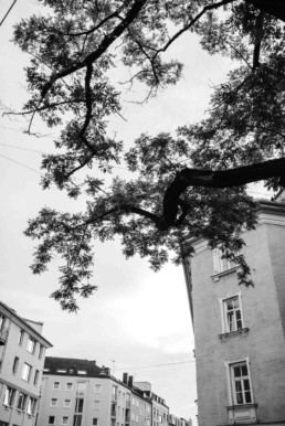 Aufnahme der Umgebung von Veronika Anna Fotografie Ismaninger Standesamt