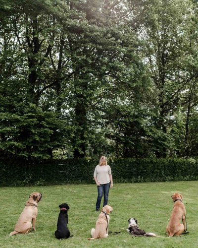 business-fotoshooting-fotograf-veronika-anna-fotoreportage-hundeschule-23