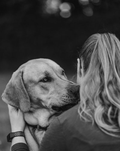 business-fotoshooting-fotograf-veronika-anna-fotoreportage-hundeschule-25