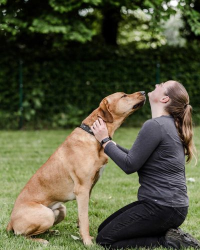 business-fotoshooting-fotograf-veronika-anna-fotoreportage-hundeschule-26