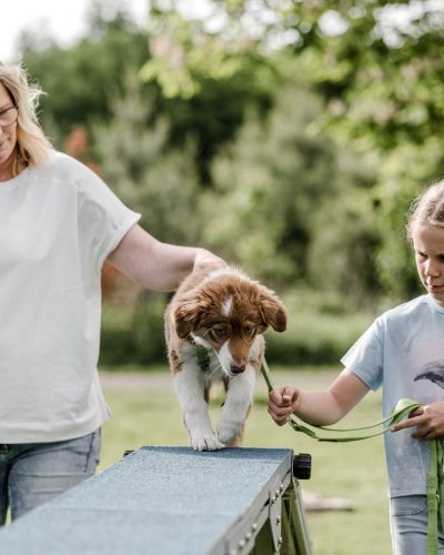 business-fotoshooting-fotograf-veronika-anna-fotoreportage-hundeschule-4