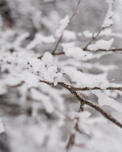 Winterhochzeit in Deggendorf von Veronika Anna Fotografie