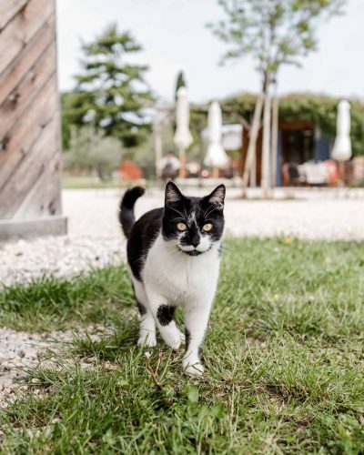 Natürliche Hochzeitsfotografie | Veronika Anna Fotografie | Bay